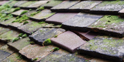 Box roof repair costs